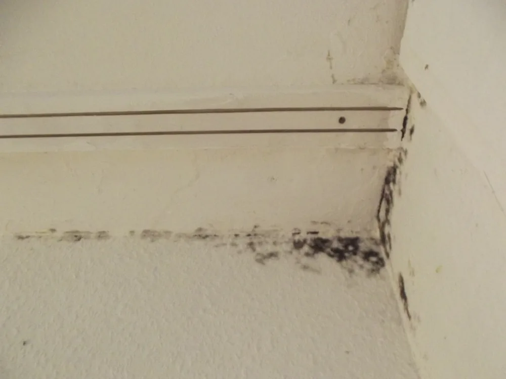 Technician in protective gear removing a mold-damaged wall in a Fairview home